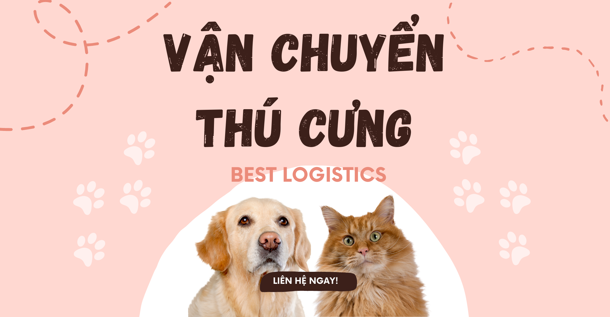 Gửi thú cưng chó, mèo đi Đức | nhanh, đảm bảo, giá rẻ - Best Logistics,  Forwarder, Chuyển Phát Nhanh Viet Nam