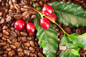 Gửi Cà Phê Robusta Rang Xay Từ Việt Nam Sang Mỹ