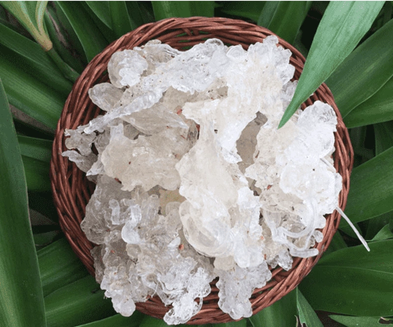 vận chuyển tuyết yến đi Nhật