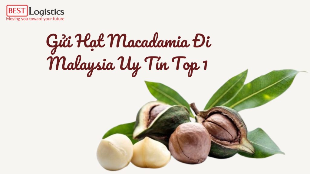 Gửi Hạt Macadamia Đi Malaysia Uy Tín Top 1