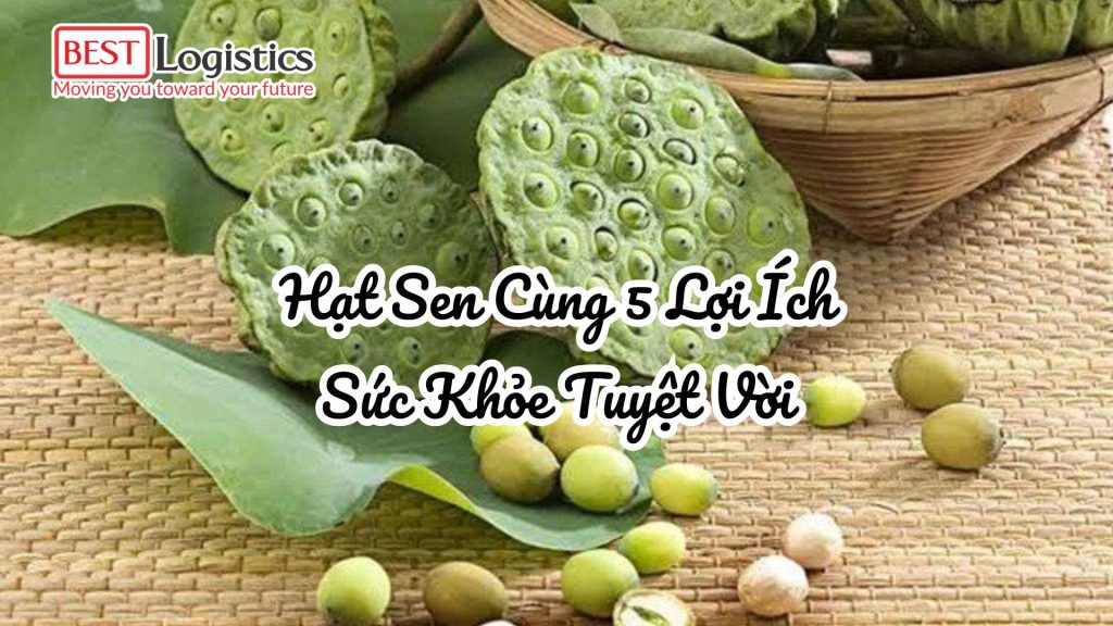 Hạt Sen Cùng 5 Lợi Ích Sức Khỏe Tuyệt Vời