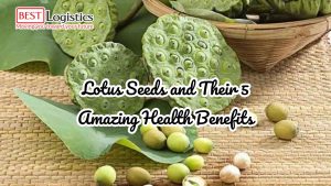 Lotus Seeds and Their 5 Amazing Health Benefits