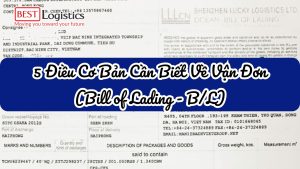 5 Điều Cơ Bản Cần Biết Về Vận Đơn (Bill of Lading - B/L)