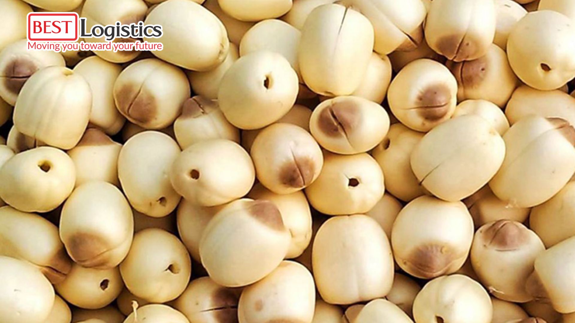 Les graines de lotus : 5 bienfaits incroyables pour la santé Les graines de lotus : 5 bienfaits incroyables pour la santé