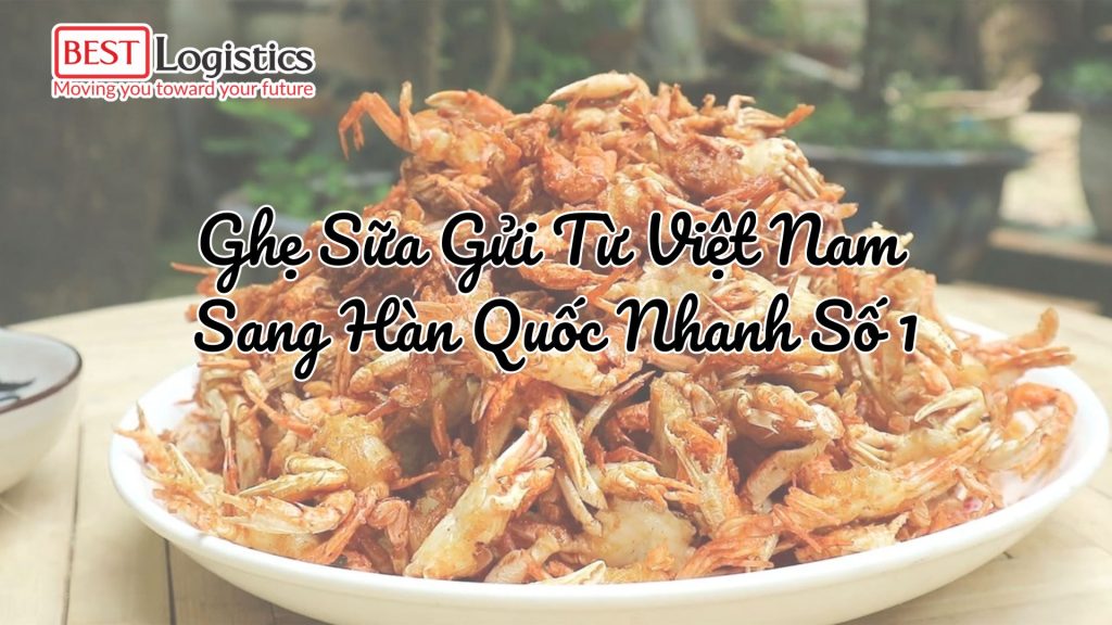 Ghẹ Sữa Gửi Từ Việt Nam Sang Hàn Quốc Nhanh Số 1