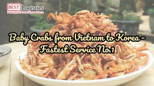 Baby Crabs from Vietnam to Korea – Fastest Service No.1