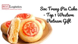 Soc Trang Pia Cake - Top 1 Western Vietnam Gift