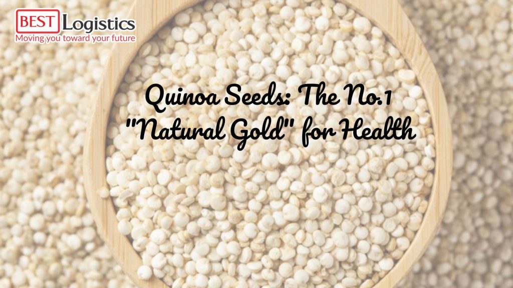 Quinoa Seeds: The No.1 "Natural Gold" for Health