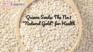 Quinoa Seeds: The No.1 "Natural Gold" for Health