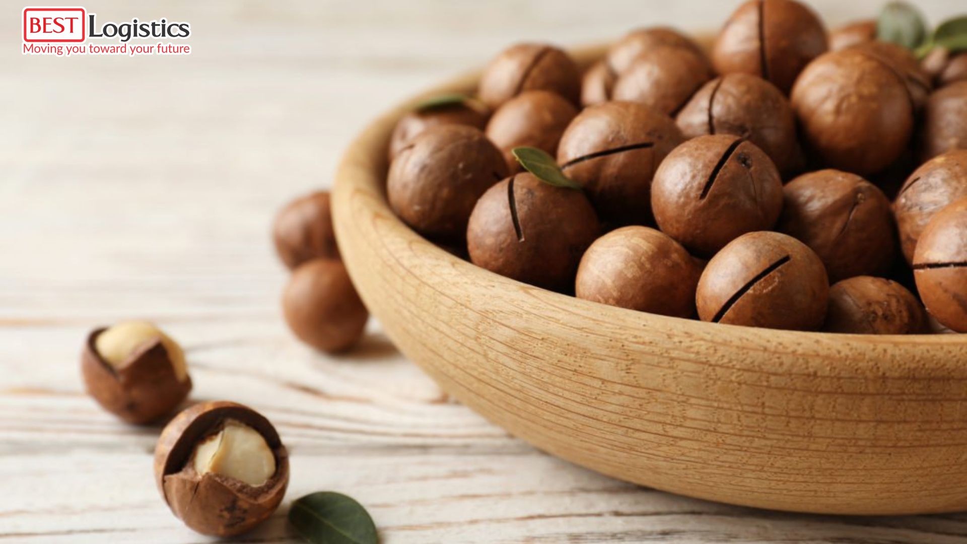 Top 1 Trusted Macadamia Nut Shipping from Vietnam