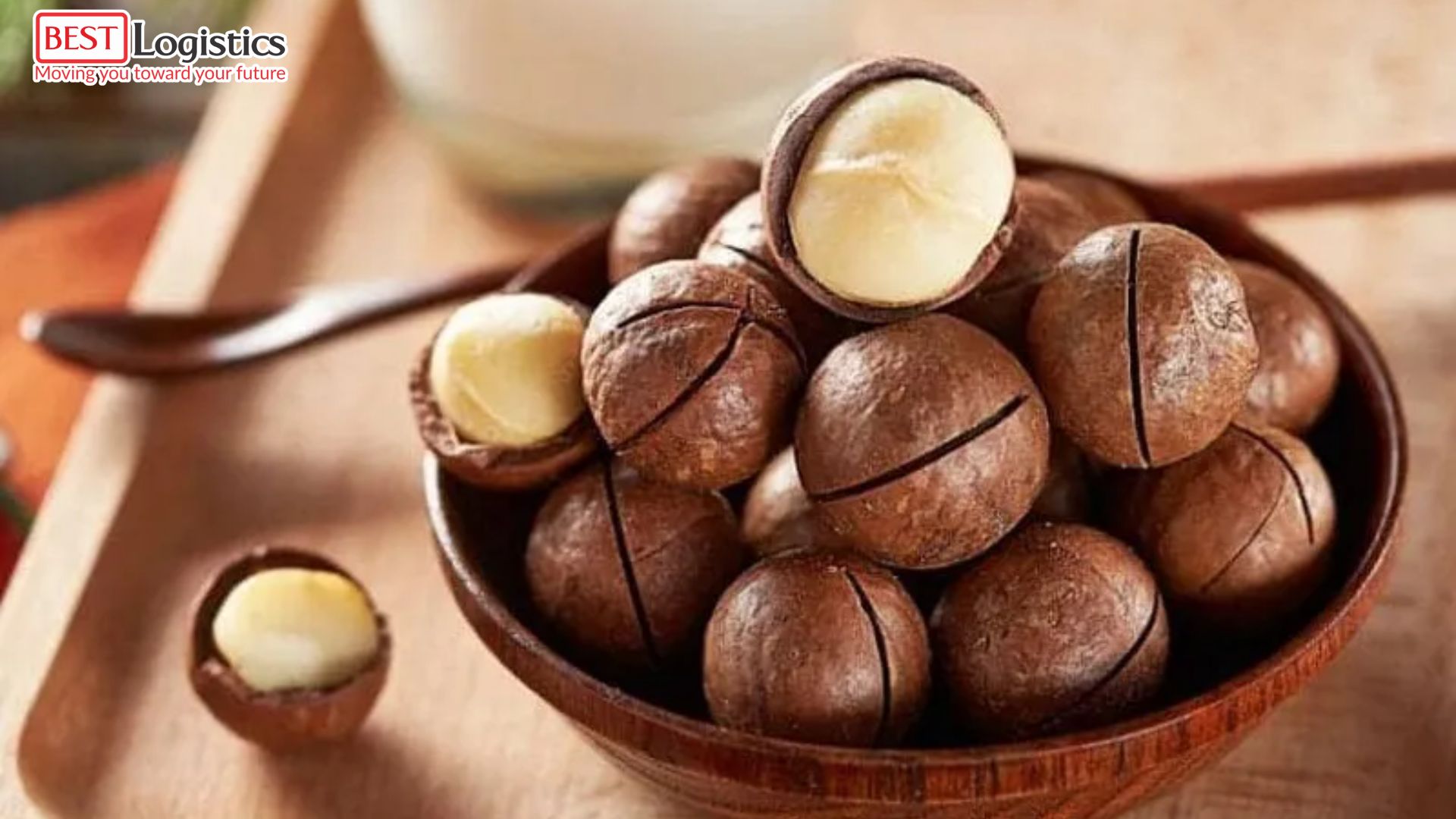 Top 1 Trusted Macadamia Nut Shipping from Vietnam