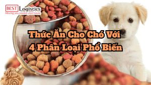 Thức Ăn Cho Chó Với 4 Phân Loại Phổ Biến