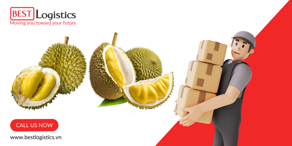 Vận Chuyển Sầu Riêng chỉ trong 4 Tiếng Từ Tây Ninh Đi Hà Nội