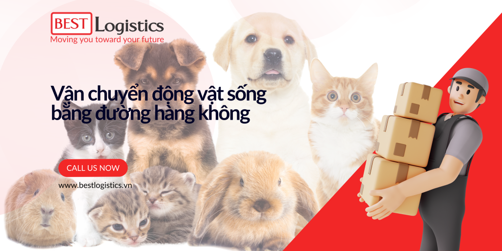 XEM THÊM: Việt Nam – Trung tâm logistics mới của Đông Nam Á Logistics thương mại điện từ – Cạnh tranh không còn ở sản phẩm mà là ở vận chuyển Vận chuyển động vật sống bằng đường hàng không