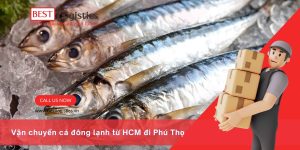 vận chuyển cá đông lạnh
