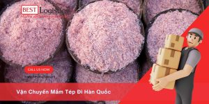 Vận Chuyển Mắm Tép Từ Việt Nam Đi Hàn Quốc – Nhanh Chóng, Đúng Quy Định, Giữ Trọn Hương Vị