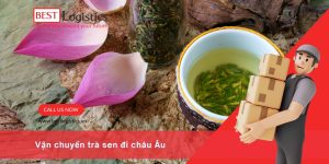 Vận Chuyển Trà Sen Từ Việt Nam Đi Châu Âu