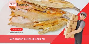 Vận Chuyển Cá Khô Đi Châu Âu Bằng Đường Hàng Không