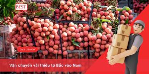 Vận chuyển vải thiều từ Bắc vào Nam