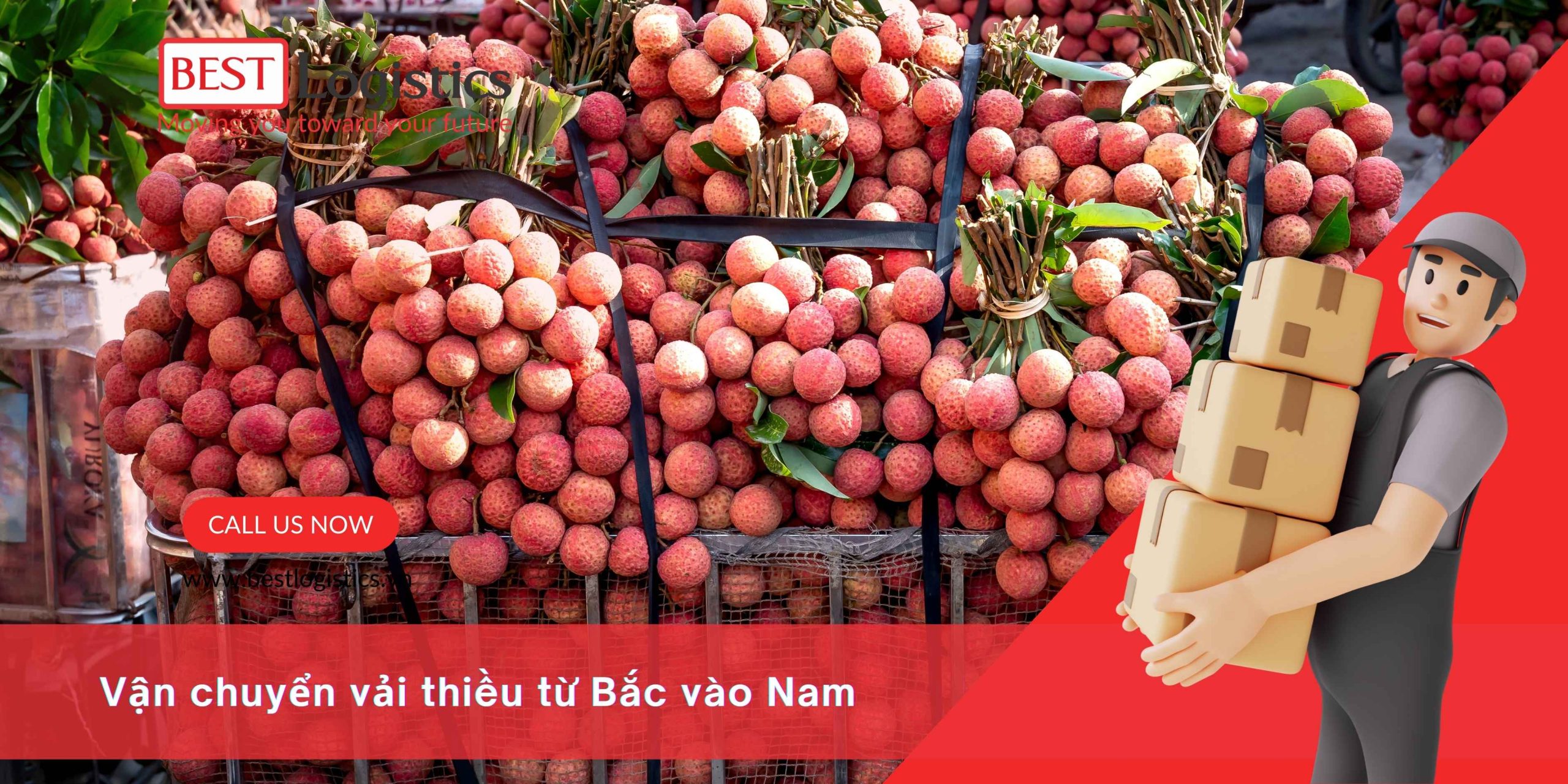Vận chuyển vải thiều từ Bắc vào Nam