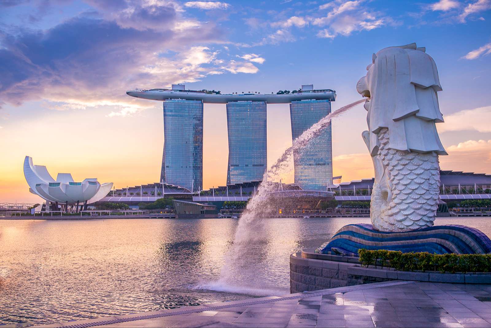 Gửi Hàng Từ Việt Nam Đi Singapore – Nhanh Chóng, An Toàn & Tiết Kiệm