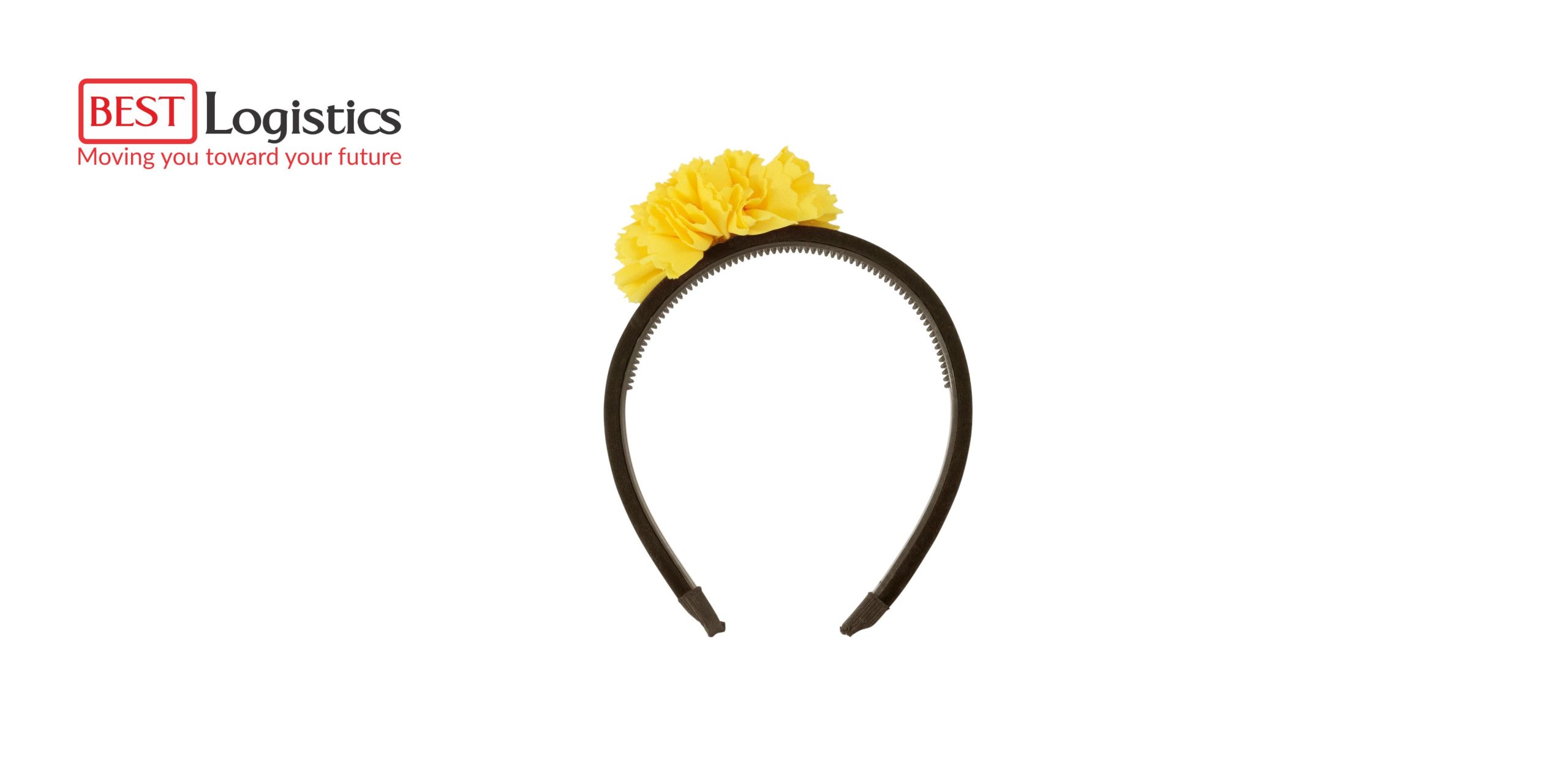 VẬN CHUYỂN BĂNG ĐÔ CÀI TÓC TỪ TP.HCM ĐI MỸ