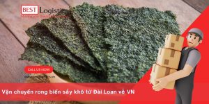 NHẬP KHẨU RONG BIỂN SẤY KHÔ TỪ ĐÀI LOAN VỀ VIỆT NAM