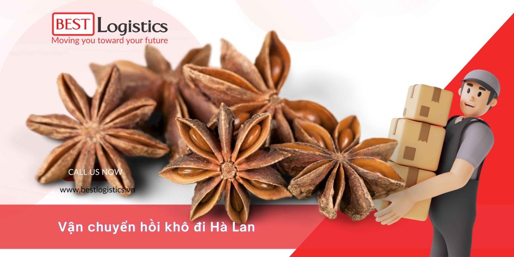 VẬN CHUYỂN HỒI KHÔ (QUẾ HỒI) ĐI HÀ LAN