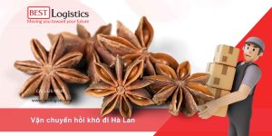 VẬN CHUYỂN HỒI KHÔ (QUẾ HỒI) ĐI HÀ LAN