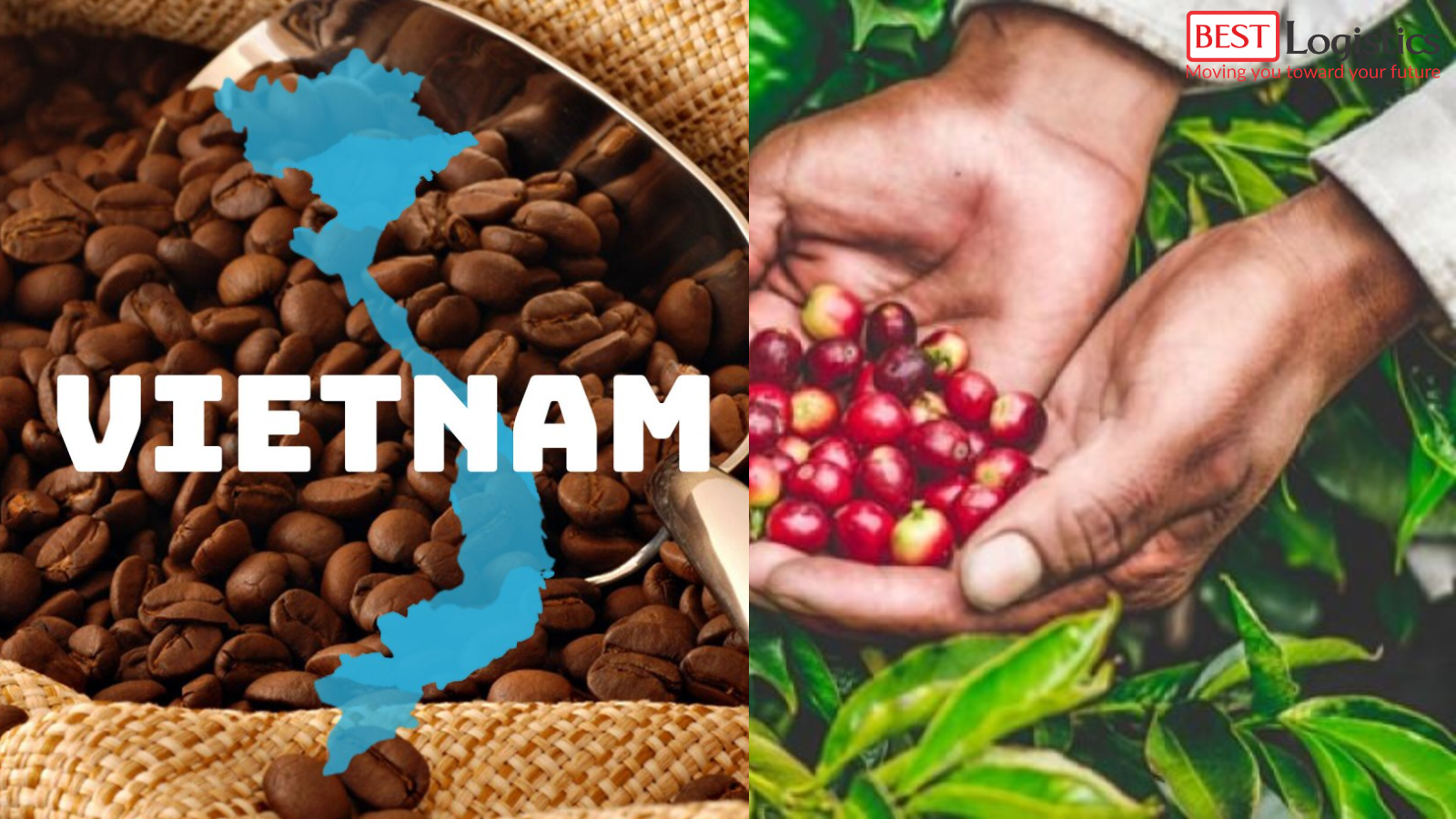 Xuất Khẩu Cà Phê Sang EU Hướng Dẫn Đầy Đủ Xuất Khẩu Cà Phê Sang EU Hướng Dẫn Đầy Đủ