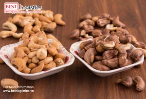 Gửi Hạt Điều Sấy Khô Đi Hồng Kông Tại Best Logistics – Nhanh Gọn Lẹ, Giá Rẻ Bất Ngờ!
