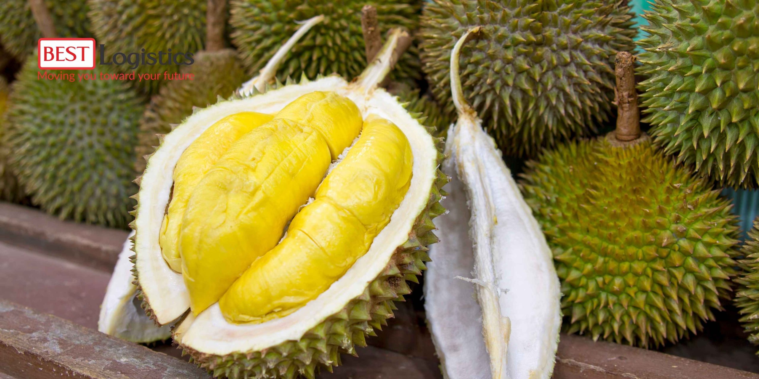 VẬN CHUYỂN HỎA TỐC SẦU RIÊNG BẰNG ĐƯỜNG HÀNG KHÔNG – GIẢI PHÁP TỐI ƯU CHO HÀNG NÔNG SẢN TƯƠI