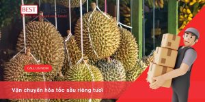 XEM THÊM: Chuỗi cung ứng lạnh – “Huyết mạch” cho ngành thực phẩm và dược phẩmphẩm Chuyển đổi số trong logistics – Không phải lựa chọn mà là bắt buộc Gửi thực phẩm khô cho du học sinh châu Âu, sách vở, hải sản khô