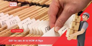 Gửi hạt sen đóng hộp đi Nhật Bản – Những điều cần biết trước khi gửi