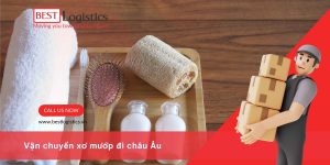 Gửi Xơ Mướp Đi Châu Âu: Hướng Dẫn Toàn Diện Cho Người Xuất Khẩu