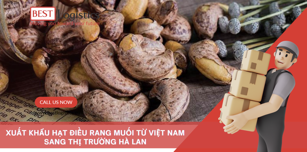 XUẤT KHẨU HẠT ĐIỀU RANG MUỐI TỪ VIỆT NAM SANG THỊ TRƯỜNG HÀ LAN