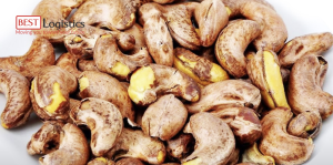 XUẤT KHẨU HẠT ĐIỀU RANG MUỐI TỪ VIỆT NAM SANG THỊ TRƯỜNG HÀ LAN