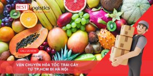 Việc vận chuyển trái cây từ TP.HCM đi Hà Nội trong cùng ngày là nhu cầu phổ biến của các hộ kinh doanh, cửa hàng trái cây và những cá nhân muốn gửi quà tặng tươi ngon cho người thân. Trái cây là loại thực phẩm dễ hỏng, nhạy cảm với nhiệt độ, vì vậy việc vận chuyển hỏa tốc nhằm đảm bảo chất lượng tươi ngon là giải pháp tối ưu. Bài viết này hướng dẫn đầy đủ quy trình, chuẩn bị, đóng gói, vận chuyển và những lưu ý quan trọng khi gửi trái cây từ TP.HCM đi Hà Nội trong ngày.
