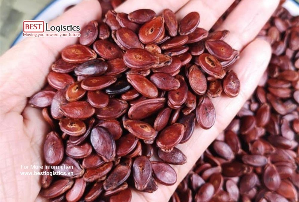 Nhu cầu gửi hạt dưa, hạt bí đi Hồng Kông dịp Tết tăng mạnh