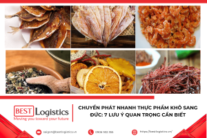 Tìm hiểu 7 lưu ý quan trọng khi chuyển phát nhanh thực phẩm khô sang Đức, từ quy định nhập khẩu, cách đóng gói, chứng từ đến thời gian và chi phí vận chuyển.