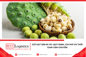 Bạn cần gửi hạt sen đi Úc? Cùng tìm hiểu quy định nhập khẩu, chi phí, thời gian vận chuyển và cách đóng gói đúng chuẩn để hàng hóa đến nơi nhanh chóng, an toàn.
