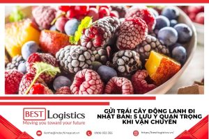 Trái cây đông lạnh được đóng gói gửi đi Nhật Bản