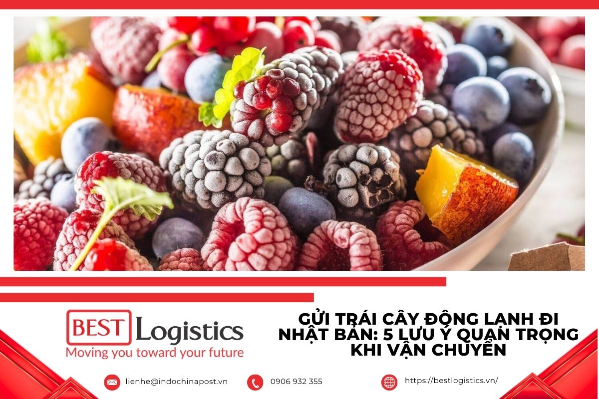 Trái cây đông lạnh được đóng gói gửi đi Nhật Bản