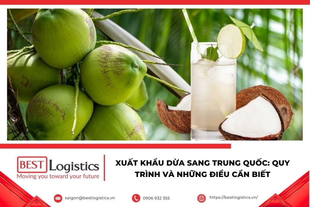 Dừa tươi Việt Nam được đóng gói để xuất khẩu sang Trung Quốc.