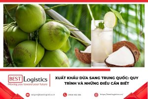 Dừa tươi Việt Nam được đóng gói để xuất khẩu sang Trung Quốc.