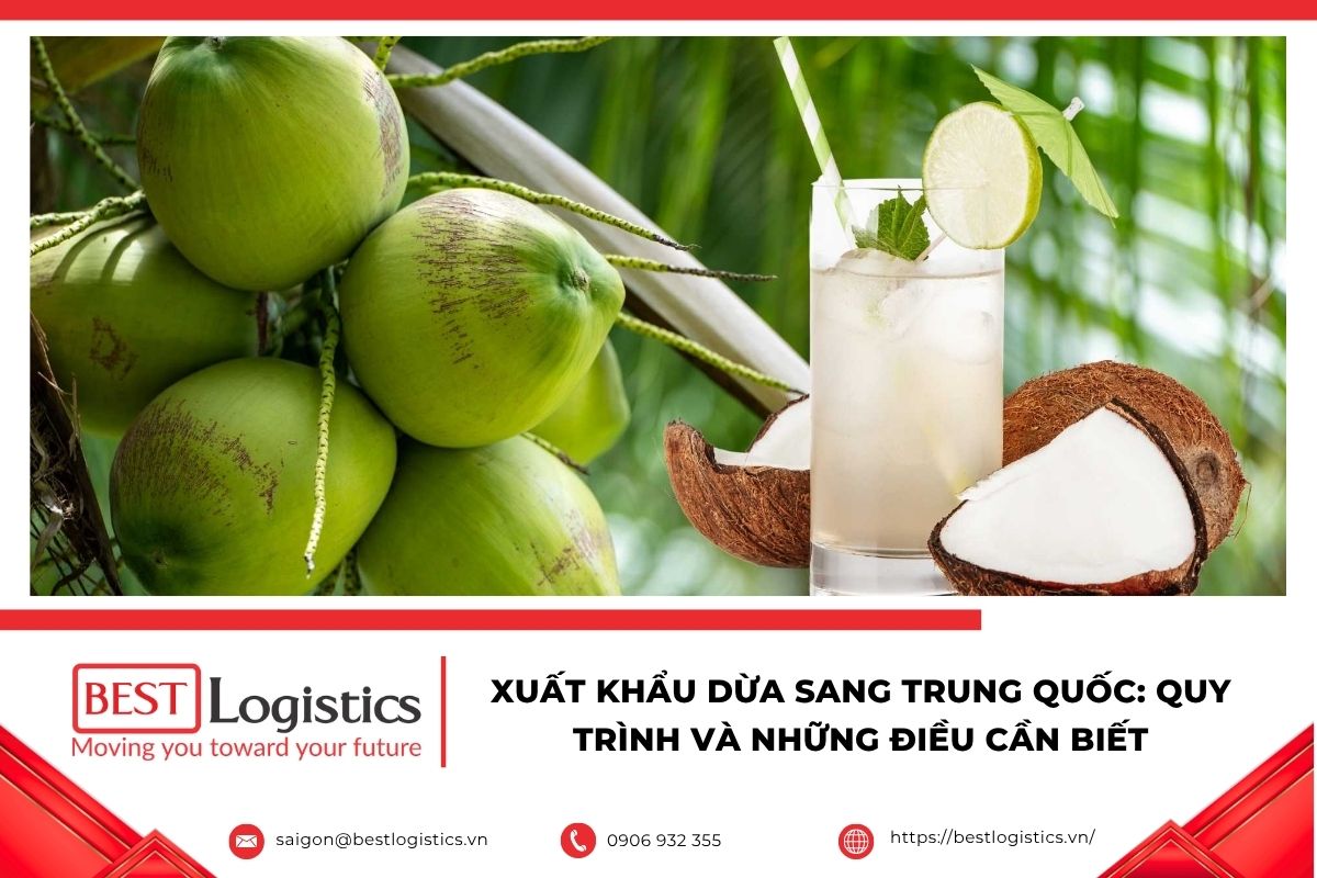 Dừa tươi Việt Nam được đóng gói để xuất khẩu sang Trung Quốc.