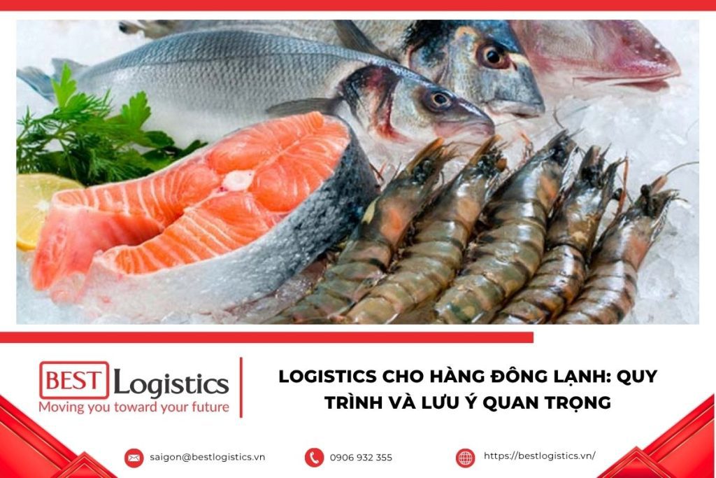 Logistics Cho Hàng Đông Lạnh
