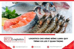 Logistics Cho Hàng Đông Lạnh