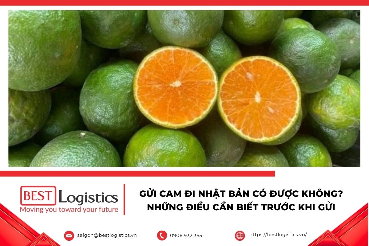 Gửi cam đi Nhật Bản